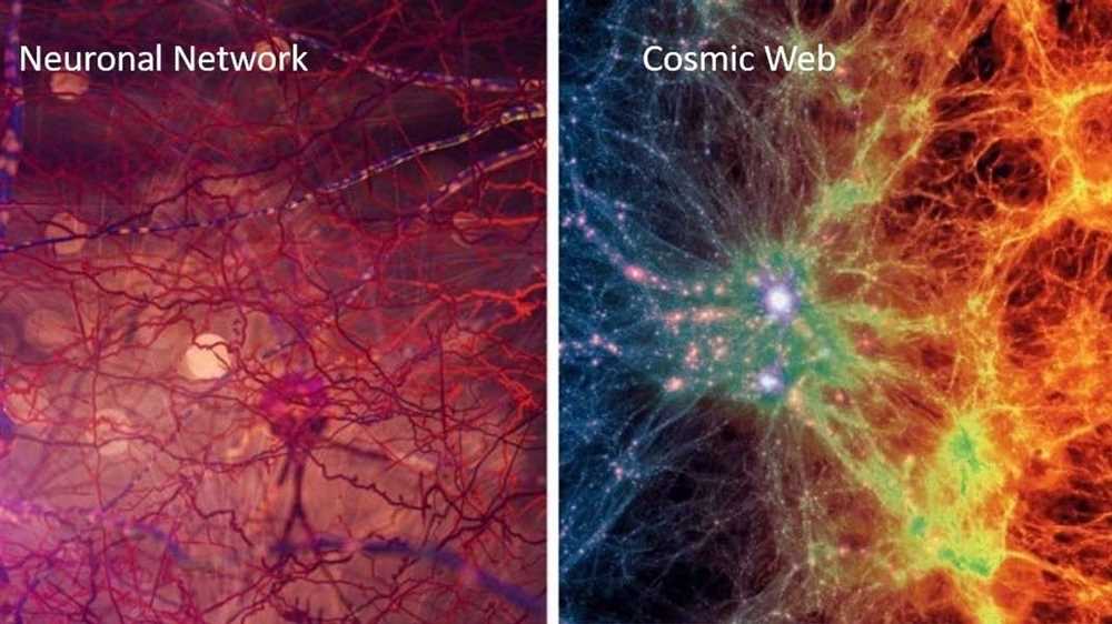 Kosmisk väv vs hjärna - En jämförelse av naturens komplexa nätverk